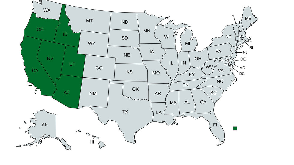 Myrmecocystus kennedyi
